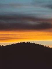 Double Blessing: CEO