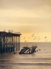 The Ugly Womanapos;s