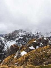 One Pregnancy, Two B