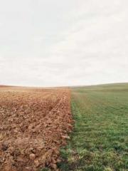 The Sovereign of the