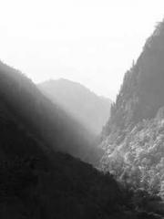 One Pregnancy, Two B