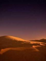 lt;Marry at first si