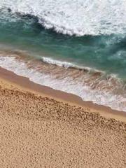 Bodhisattva of Compa