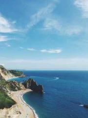 One Pregnancy, Two B