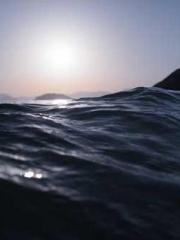 The beloved little b